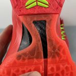 Kobe VI Protro - Image 13