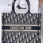 Ecru and Blue Dior Oblique Embroidery - Image 4